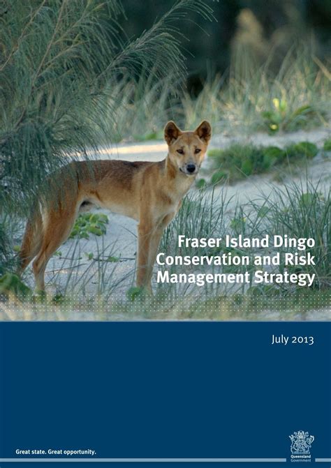 Fraser Island Dingo Conservation and Risk Management Strategy