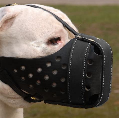 Purchase Agitation Leather Bulldog Muzzle | Tracking