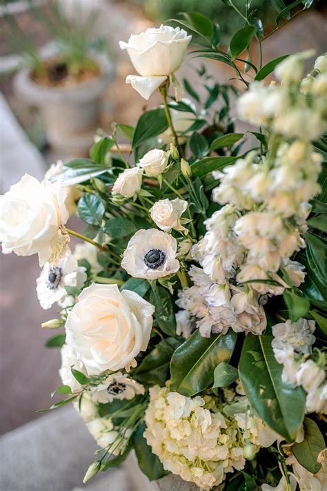 Adorable Dog Stars in Washington DC Spanish Steps Wedding