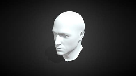 Human Head - Download Free 3D model by VistaPrime [f46d952] - Sketchfab