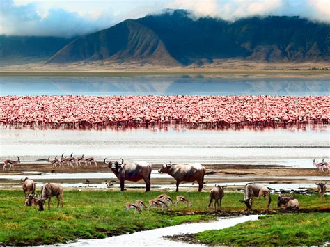 Ngorongoro Travel Tips | Discover Africa