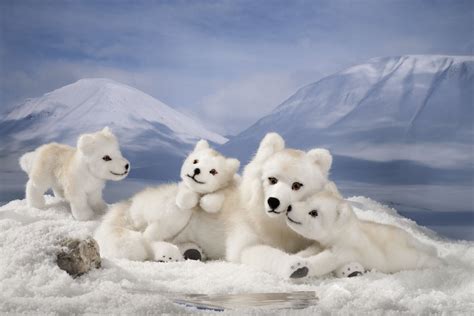 Arctic Wolf Newborn Pups