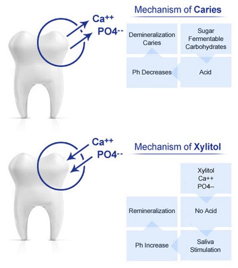 How to remineralize teeth | News | Dentagama