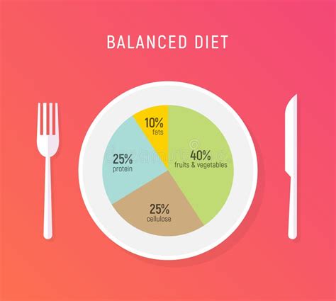 Healthy Diet Food, Balance Nutrition Plate. Vector Health Meal Chart ...