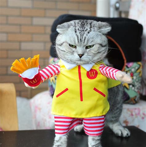 Cute Cat Halloween Costume - Fast Food Character Clothes – Cat Bonanza