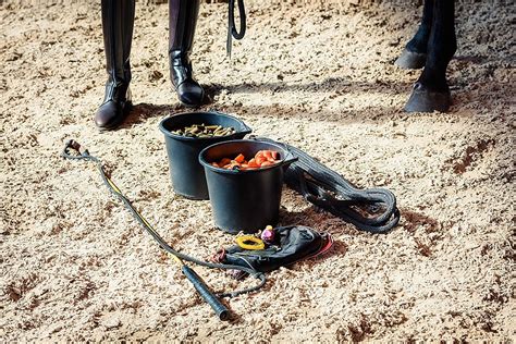 6th Technique: Introducing Clicker in practice - OneHorseLife