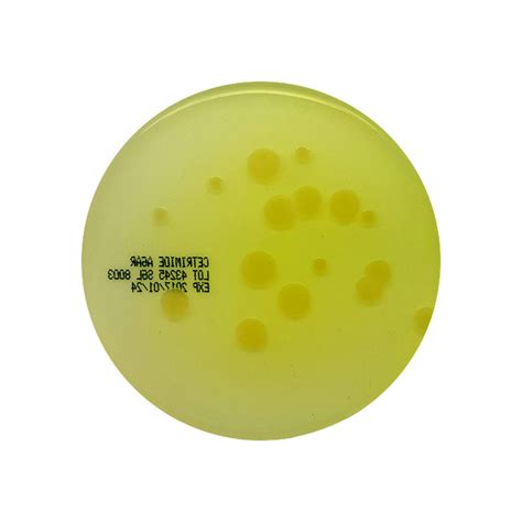 Cetrimide Agar, 90mm Plate - Southern Group Laboratory