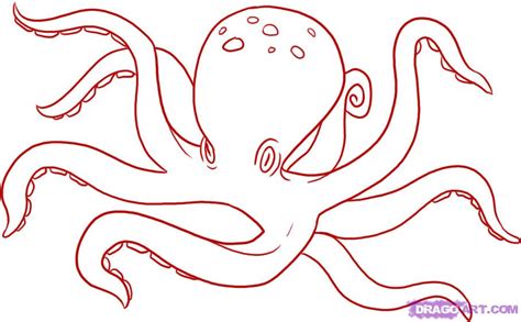 How to Draw Octopus : Drawing Tutorials & Drawing & How to Draw Octopus Drawing Lessons Step by ...