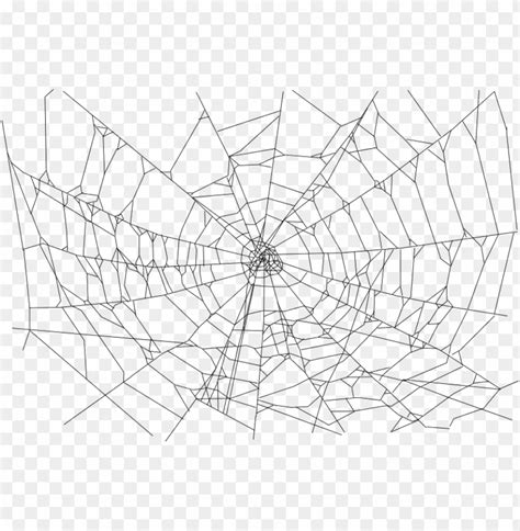 Free download | HD PNG transparent background spider web PNG transparent with Clear Background ...