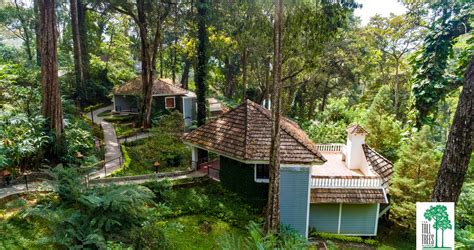 Tall Trees Resorts at Munnar , Kumar Group