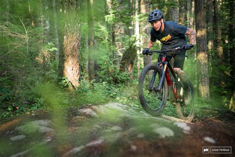 Review: Trek's All-New 2020 Fuel EX Trail Bike - Pinkbike