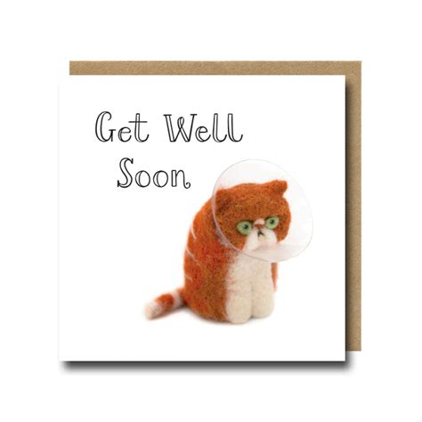 Get Well Soon Card, Grumpy Cat in a Neck Cone, Funny Card for Cat Lover ...