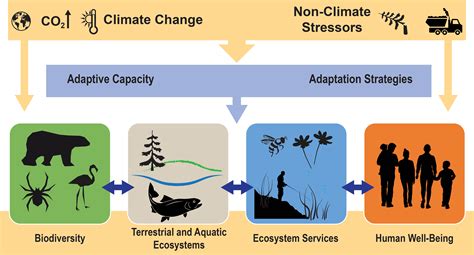 Ecosystems, Ecosystem Services, and Biodiversity - Fourth National Climate Assessment in 2022 ...