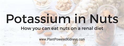 Potassium in Nuts: How You Can Eat Nuts on a Renal Diet