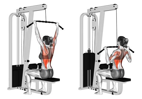 Wide Grip Lat Pulldown: Benefits, Muscles Worked, and More - Inspire US