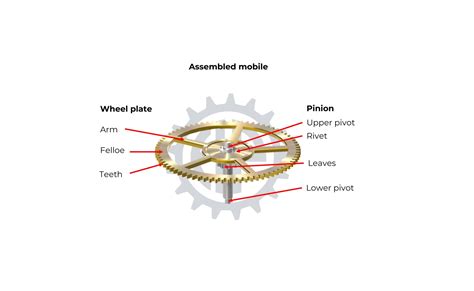 GEAR TRAIN - Horopedia