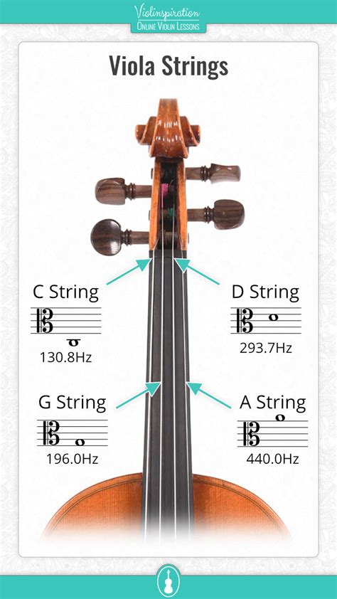 Viola Strings Labeled