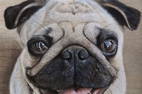 This Artist Creates the Most Realistic Animal Portraits We’ve Ever Seen | Realistische ...