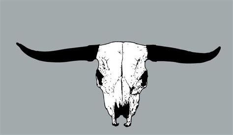 Cow Skull Vector at Vectorified.com | Collection of Cow Skull Vector free for personal use