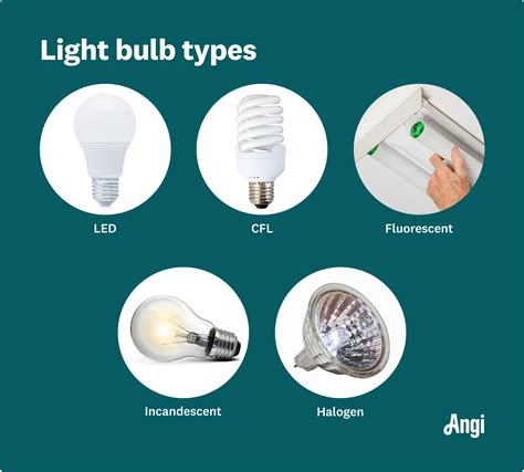 Types of Light Bulbs: By Base, Shape, and Color