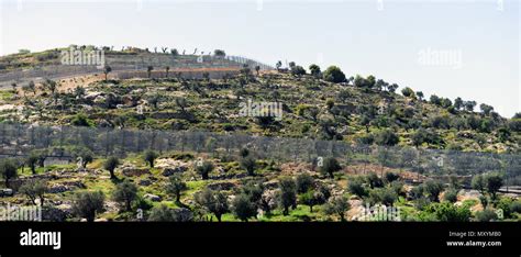 Palestinian landscape hi-res stock photography and images - Alamy