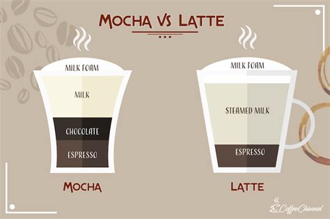 Mocha vs Latte: What's the Difference? (With Images) | Coffee Affection