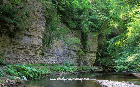 Black Forest Germany - Hiking in the Region