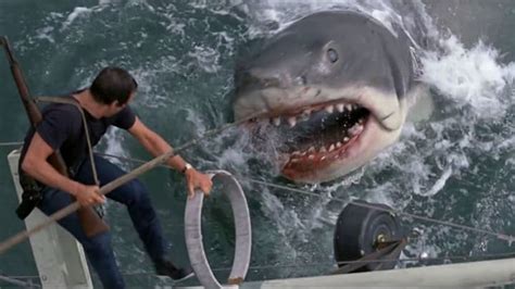 How a Terrifying, Real-Life Shark Encounter Changed the Ending of Jaws