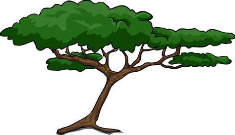 Acacia Tree Clip Art - ClipArt Best