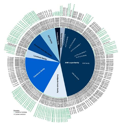 Toxinome of L. geometricus venom gland. All 212 unigenes were clustered ...