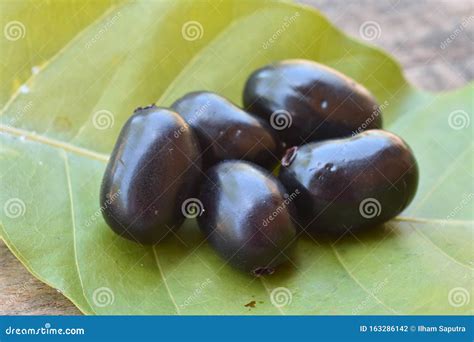 Jamblang Or Duwet Or Juwet Or Java Plum Or Jaam Or Jamun Or Black Jam Or Giant Duhat On Green ...