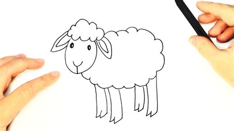 Sheep Drawing For Kids