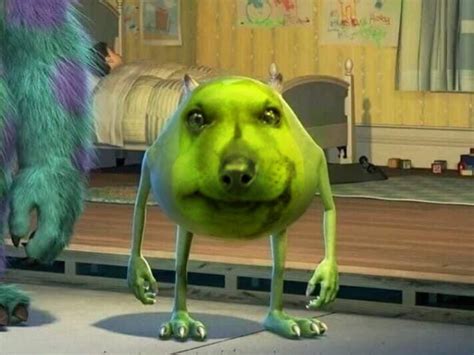 Dog stung by bee mike wazowski in 2022 | Dog bee sting, Cute animals, Dogs