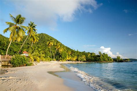 10 Best Beaches in Martinique - What is the Most Popular Beach in Martinique? – Go Guides