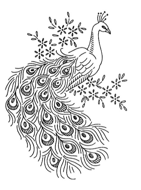 Peacock Drawing Outline at PaintingValley.com | Explore collection of ...