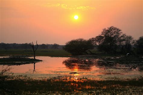 The Guide: Keoladeo National Park | RoundGlass | Sustain