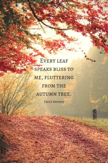 90+ Fall Quotes & Autumn Quotes to Enchant the Soul – Mom Soul Soothers