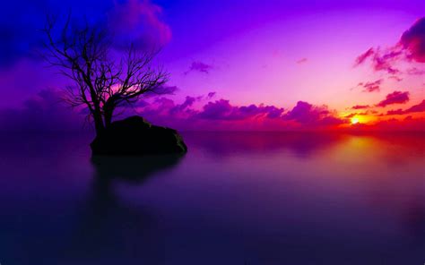 10 New Sunset Background 1920X1080 FULL HD 1080p For PC Background 2024