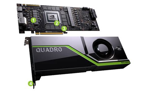 NVIDIA Quadro RTX8000 | NVIDIA Professional Graphics - Leadtek