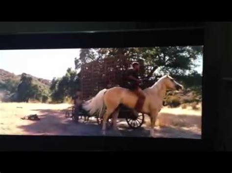 Jamie Foxx Django Horse