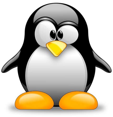 Download Tux Linux Vector Royalty-Free Vector Graphic | Penguins, Penguin drawing, Linux