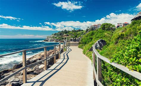 Bondi to Coogee Walk - Concrete Playground