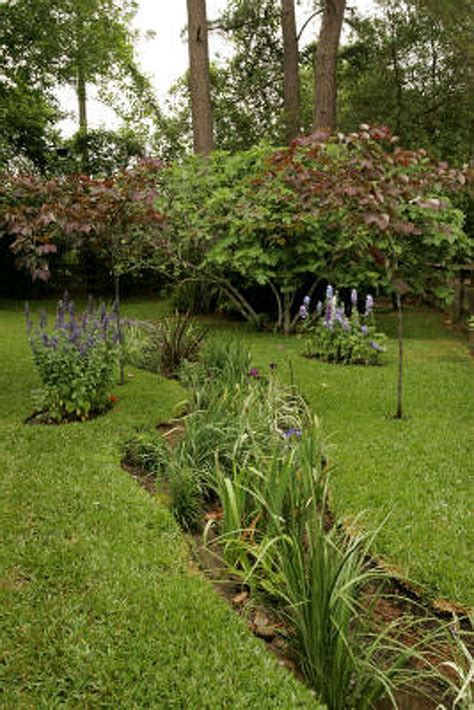 PROJECT: Building a swale for your garden