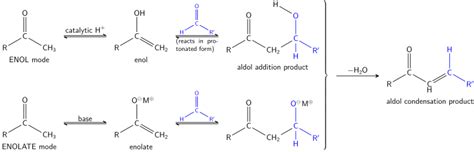 Aldol reaction - Wikipedia