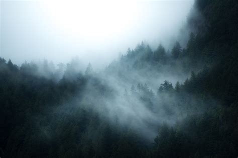 British Columbia Foggy Forest Wallpaper, HD Nature 4K Wallpapers, Images and Background ...