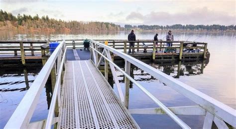 Campaign to Replace the Elk Lake Fishing Dock Gains Momentum - Island Fisherman Magazine