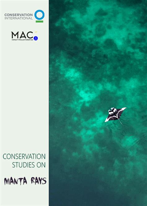 Conservation Studies on Manta Rays - Inspiring Asia