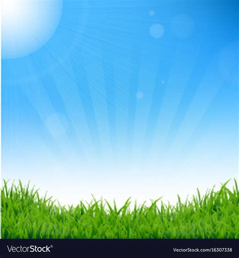 Blue sky and grass background Royalty Free Vector Image