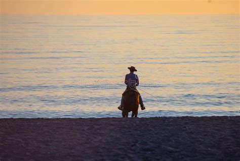 Horse Rider on Beach at Sunset Stock Photo - Image of nature, beach ...