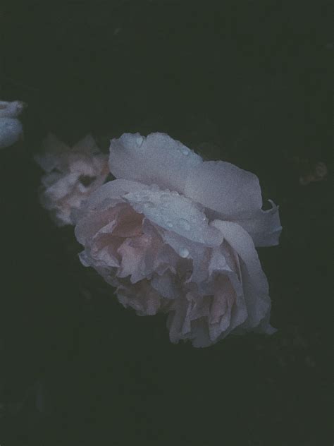 Soft Grunge Photography